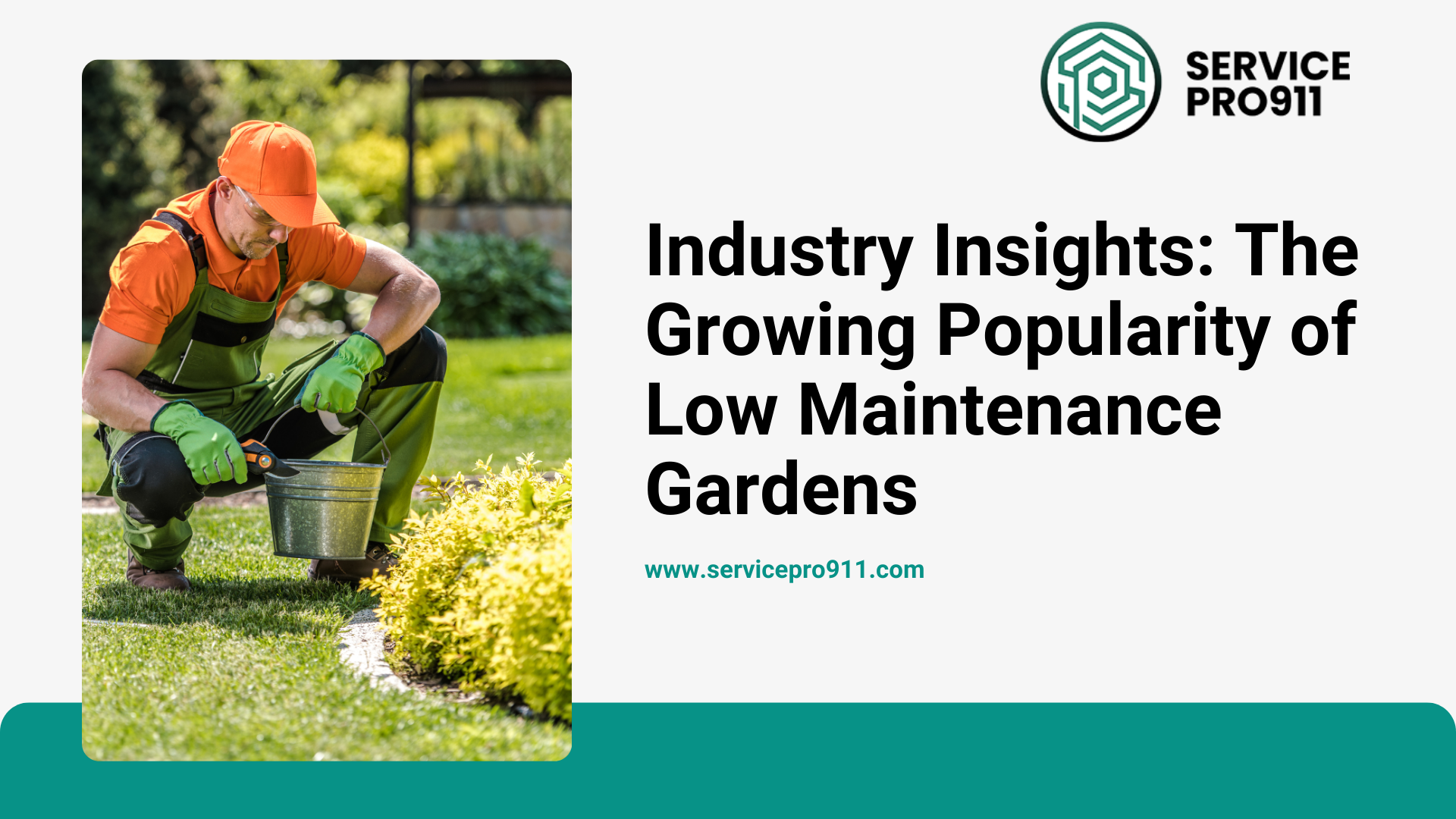 Industry Insights: The Growing Popularity of Low-Maintenance Gardens