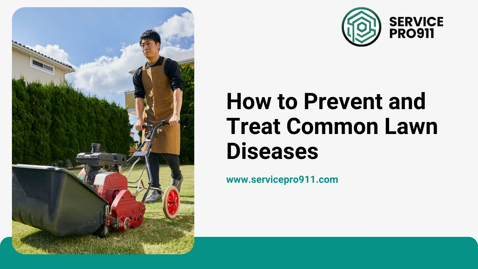 How to Prevent and Treat Common Lawn Diseases