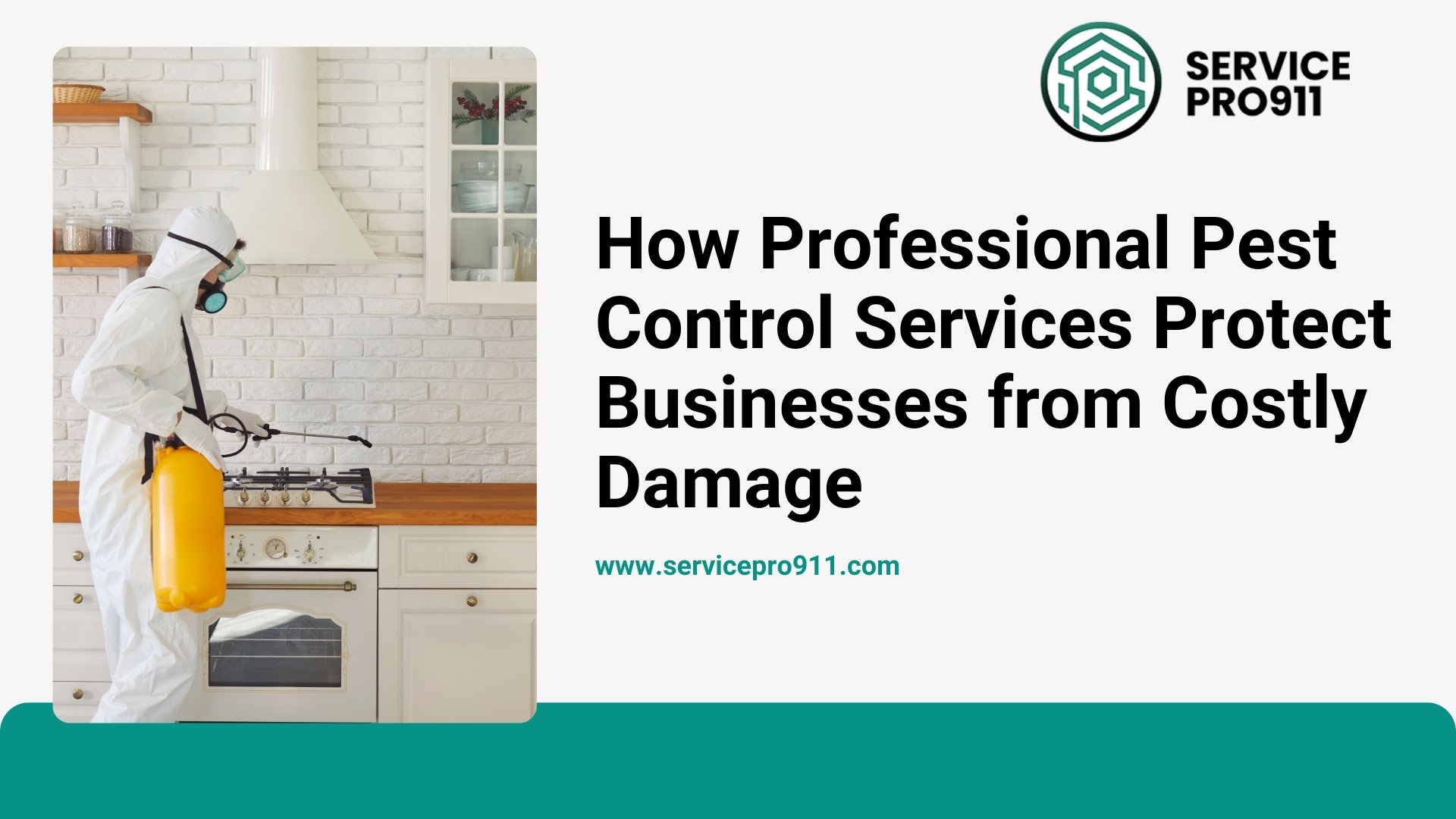 How Professional Pest Control Services Protect Businesses from Costly Damage
