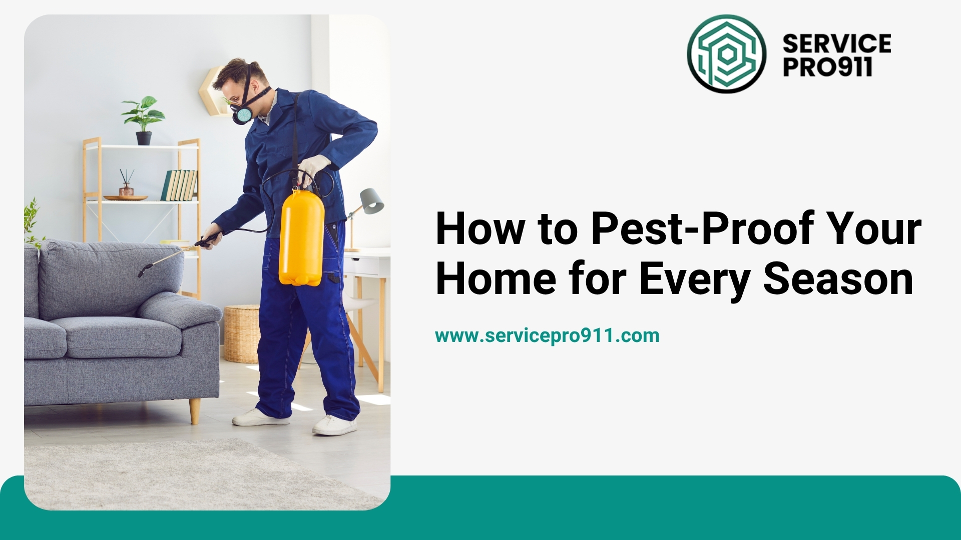 How to Pest-Proof Your Home for Every Season