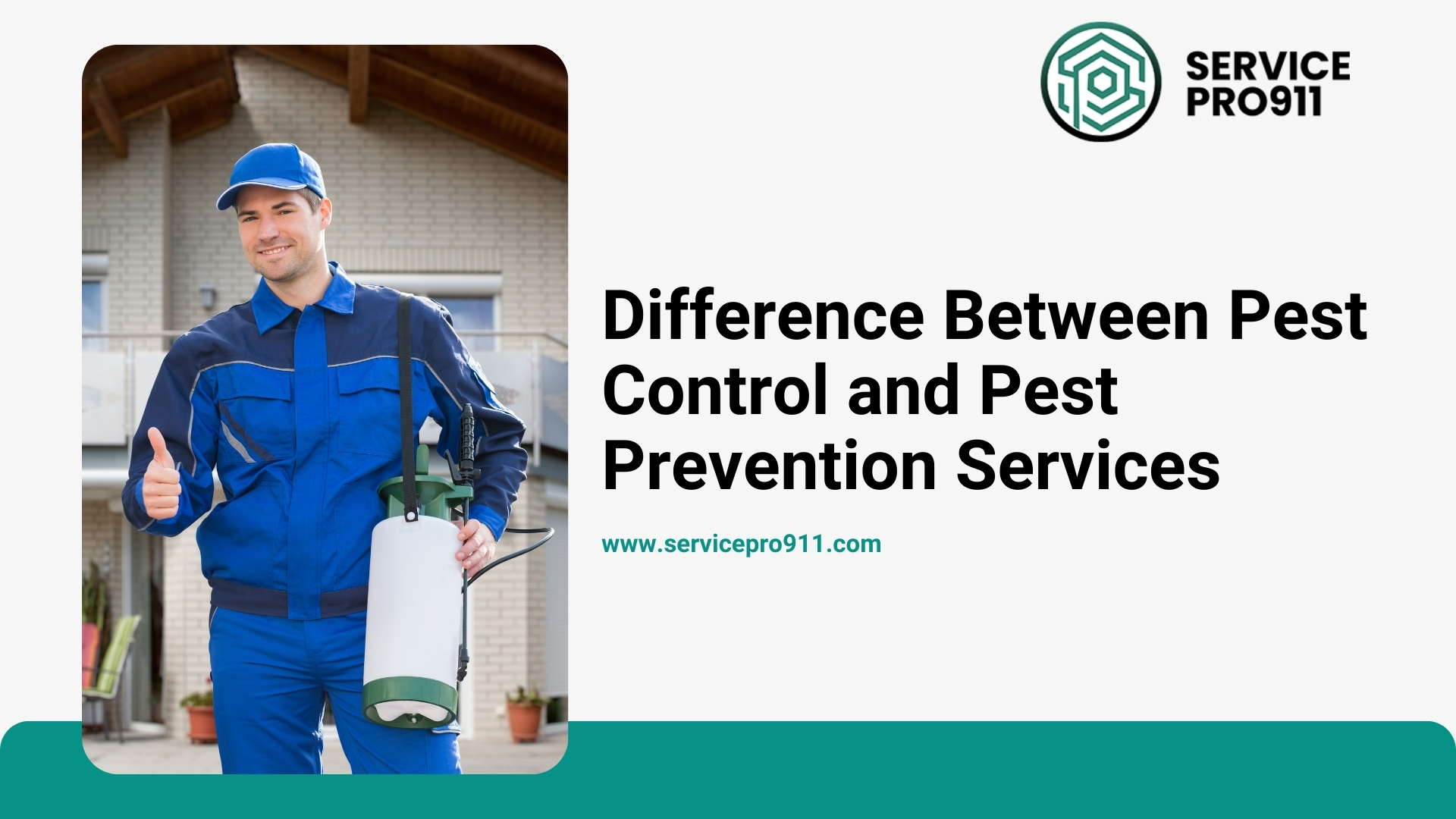 Difference Between Pest Control and Pest Prevention Services