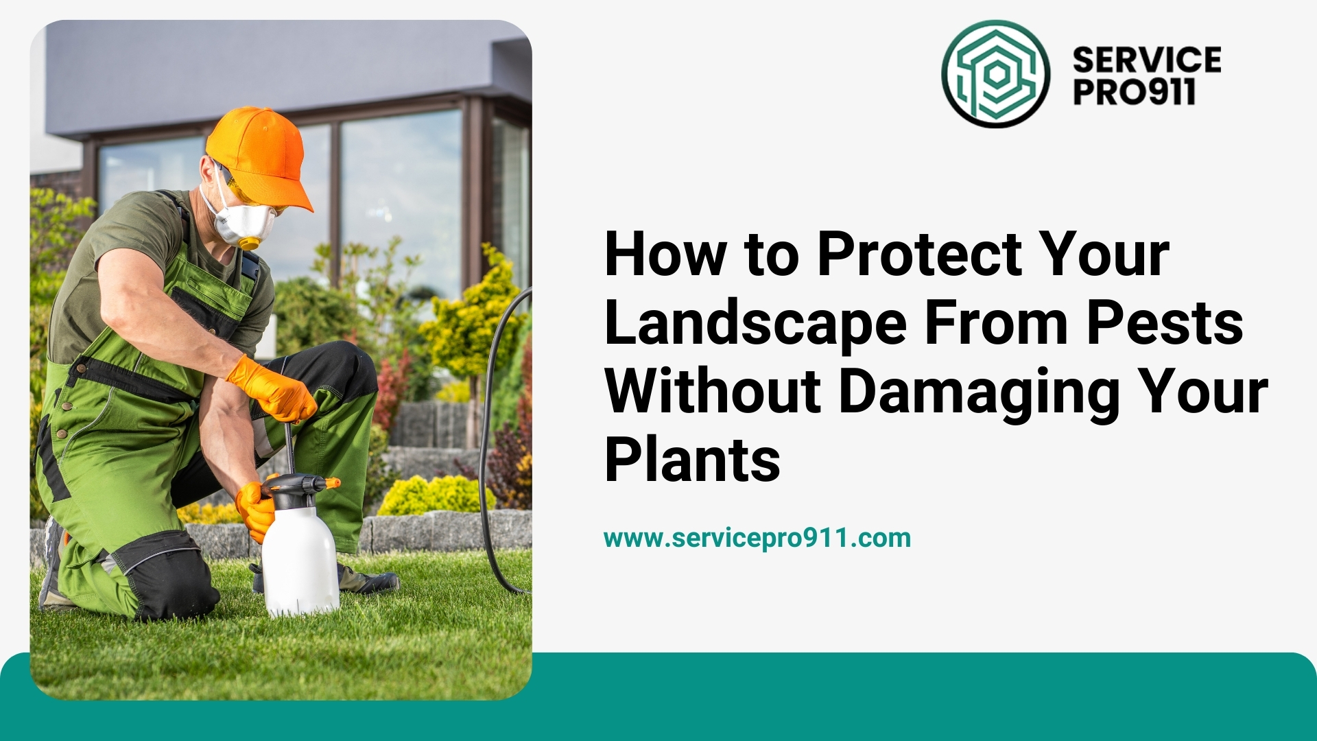How to Protect Your Landscape From Pests Without Damaging Your Plants