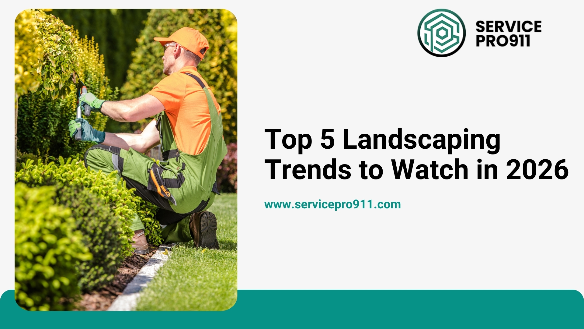Top 5 Landscaping Trends to Watch in 2026