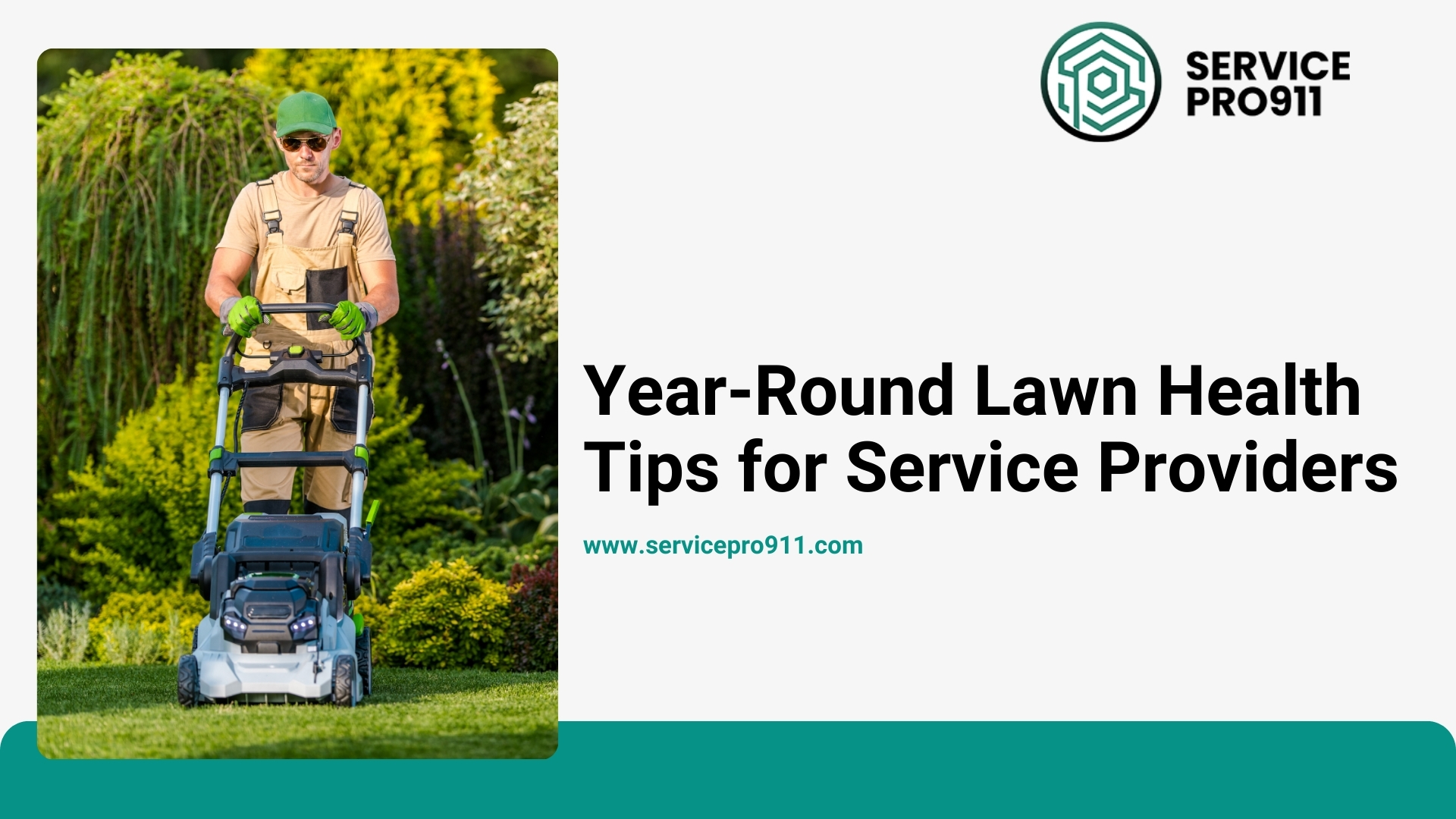 Year-Round Lawn Health Tips for Service Providers